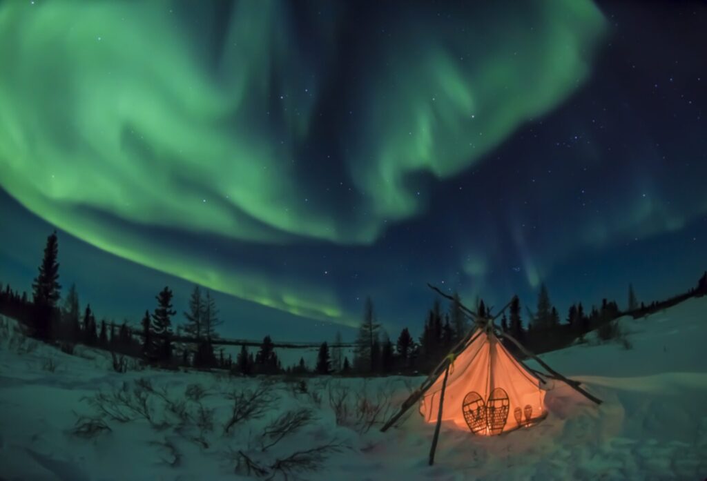 Aurora tent