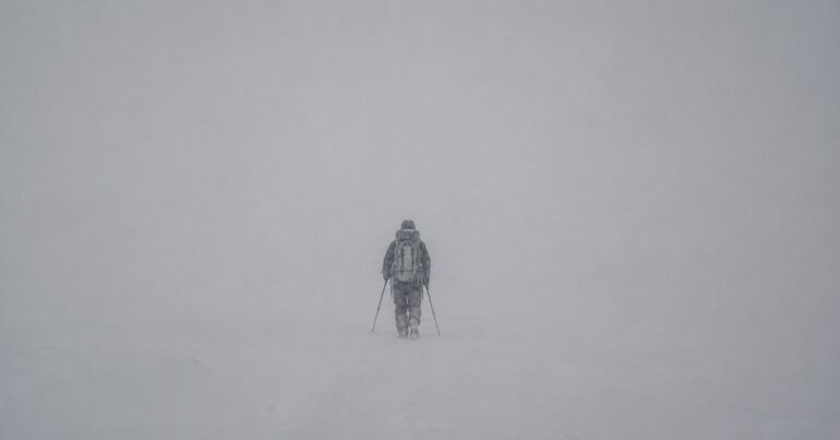 The Horizon of the Whiteout